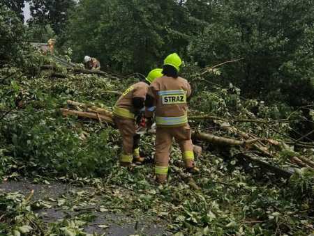 11 interwencji strażaków po burzy