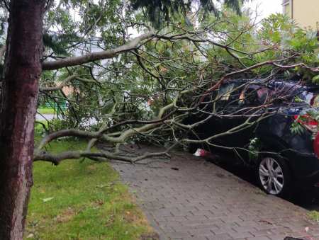 13 interwencji strażaków