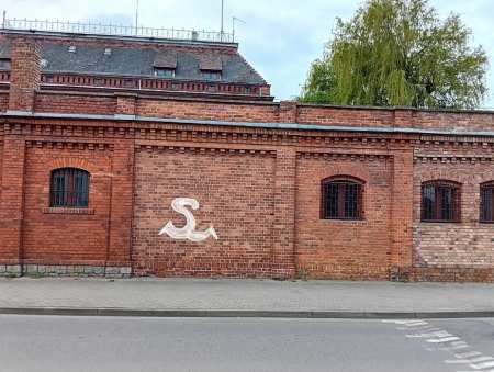 Nieśmiertelny symbol