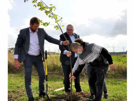 Dokonali nasadzeń drzew miododajnych