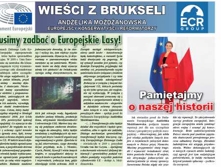 Musimy zadbać o Europejskie Lasy!