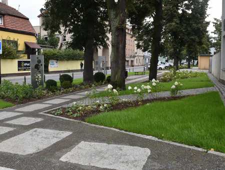 Dotacje na edukację ekologiczną