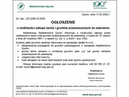 Ogłoszenie o możliwości zakupu lasów i gruntów przeznaczonych do zalesienia - 2025 r.